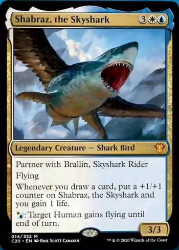 Shabraz, the Skyshark / Brallin, Skyshark Rider