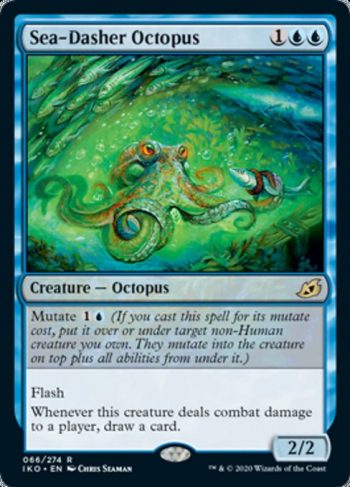 Card Name: Sea-Dasher Octopus. Mana Cost: {1}{U}{U}. Card Oracle Text: Mutate {1}{U} (If you cast this spell for its mutate cost, put it over or under target non-Human creature you own. They mutate into the creature on top plus all abilities from under it.)FlashWhenever this creature deals combat damage to a player, draw a card.. Power/Toughness: 2/2