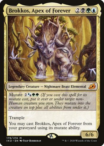 Card Name: Brokkos, Apex of Forever. Mana Cost: {2}{B}{G}{U}. Card Oracle Text: Mutate {2}{U/B}{G}{G} (If you cast this spell for its mutate cost, put it over or under target non-Human creature you own. They mutate into the creature on top plus all abilities from under it.)TrampleYou may cast Brokkos, Apex of Forever from your graveyard using its mutate ability.. Power/Toughness: 6/6